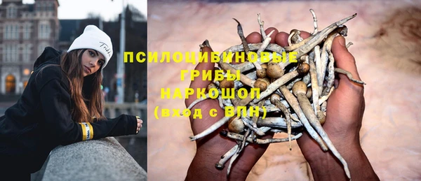 винт Абинск