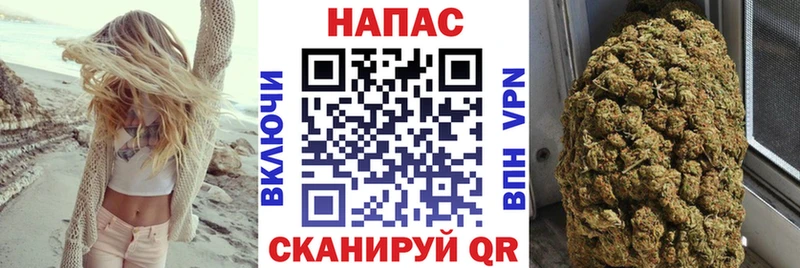 Бошки Шишки планчик  Щёлкино 